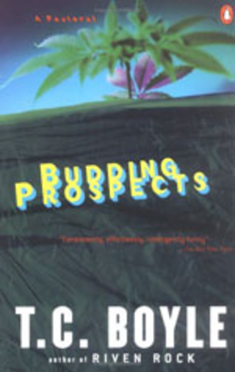 articles/2010/04/20/the-best-stoner-novels/book-cover---budding-prospects_laypqw