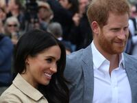 markle_vdresd
