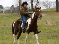 171212-moore-horseback-cheat_adb7d8