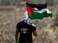 180909-tolan-gaza-plea-hero_c9auq6