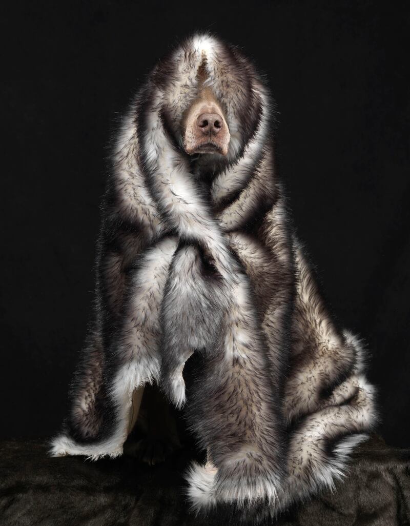galleries/2012/12/06/2012-gift-guide-for-the-style-savant/guide-art1440_wce3b9