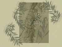 A photo illustration showing olive branches and a map of Palestine and Israel.