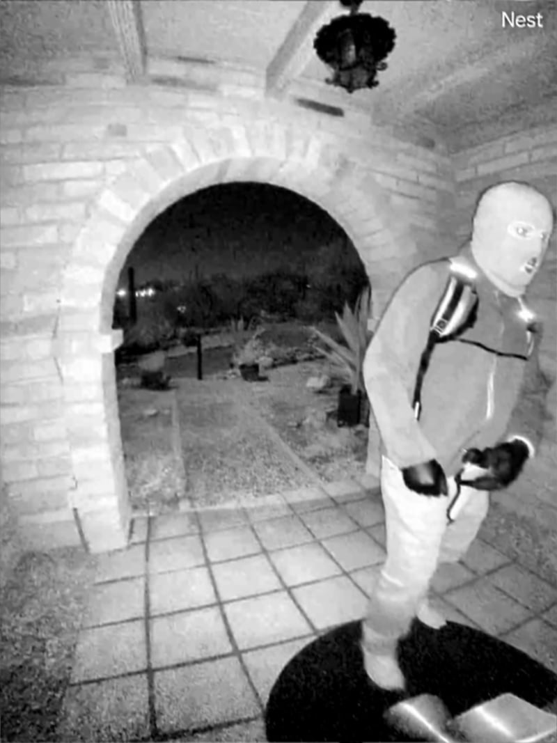 image nancy guthrie fbi