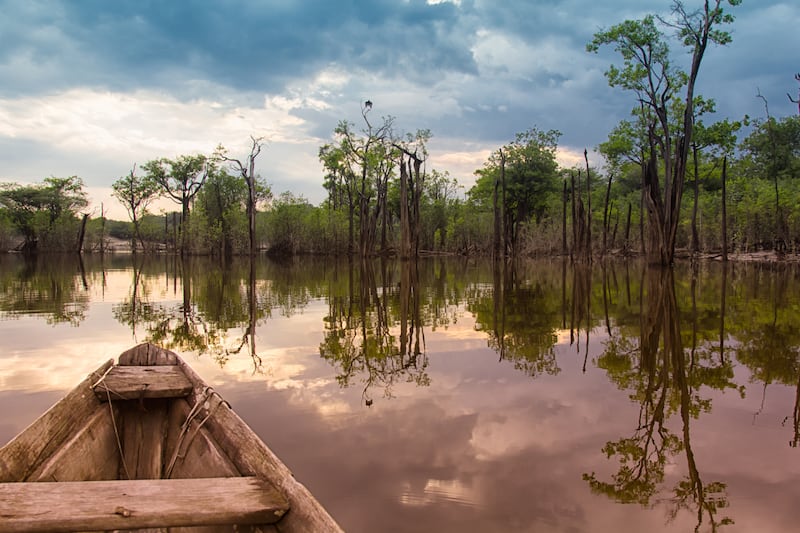 articles/2014/05/15/exploring-the-amazon-while-we-still-can/140514-hartman-amazon-tease_ifpkkw