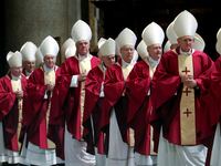 cardinals_fjn4b0