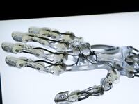 articles/2015/03/11/the-reality-of-3d-printed-robo-hands/150310-eveleth-prostetic-hands-tease_w6bjnt