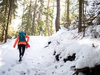 210216-brooklyn-winter-hiking-hero_1_adkgw4