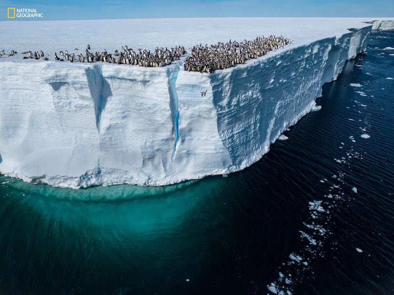 National Geographic best pictures of the year