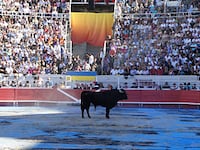 articles/2010/09/30/ena-swansea-paints-arles-bullfight/haden-guest-goyesque_127368_hv8j1e