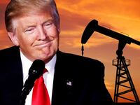 articles/2016/11/14/donald-trump-doesn-t-understand-what-it-means-to-make-america-energy-independent/161112-Shulman-trump-energy-tease_dkcekv