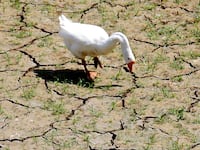 articles/2014/03/04/america-s-axis-of-drought/140303-galbraith-drought-tease_uq1lbg