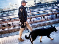 180130-collins-amtrak-hero_ck0oxw