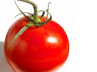 articles/2014/06/10/a-tomato-a-day-keeps-the-doctor-away/140610-tomato-lytton-tease_rdy4ai