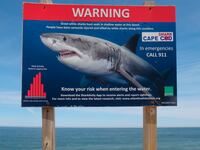 Warning sign for Great White Shark Biting Incidents