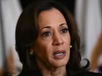 Democratic Party strategists are worried Kamala Harris may be losing momentum.