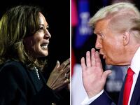 trump harris