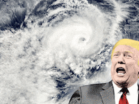 190830-Wilson-Trump-Dorian-tease_euoxkv