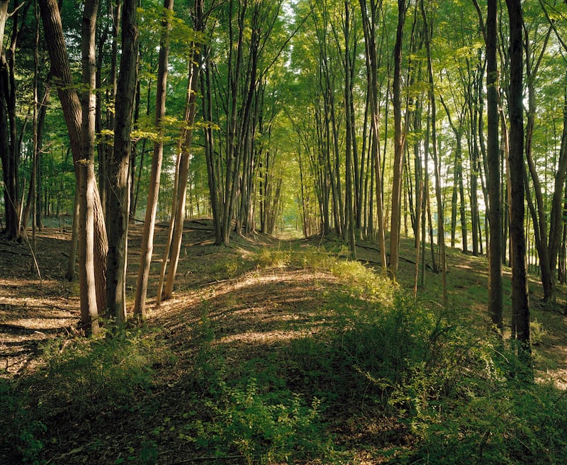articles/2012/07/05/jeff-brouws-at-apexart-is-the-daily-pic-by-blake-gopnik/Brouws-daily-pic_szdhkf