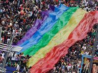 articles/2011/08/05/brazil-hetero-pride-day-bill/brazil-straight-pride-latam_mihesn