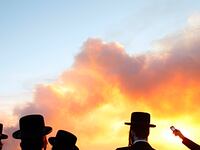 articles/2010/12/05/israel-forest-fire-how-countries-rushed-to-help/oz-salzberger-israel-fire_145274_ijea0l