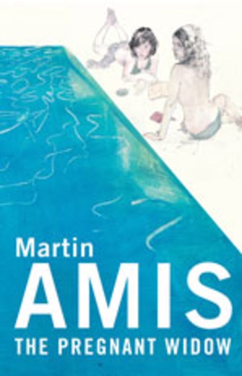 articles/2010/02/13/englands-punching-bag-martin-amis/book-cover---cole-martin-amis_mvpdeg