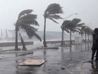 articles/2011/08/25/hurricane-irene-can-be-tied-to-global-warming-says-bill-mckibben/hurricane-irene-global-warming-mcgibben_bipkki
