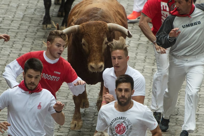 galleries/2016/07/14/running-of-the-bulls-photos/160714-running-bull1_s26v09