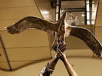 articles/2010/05/10/fayeds-innocent-victims/gregory-harrods-statue_e5wa9q