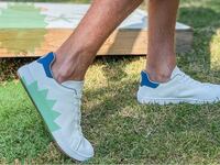 Suavsshoes_radrmj
