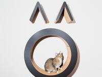 articles/2016/02/01/welcome-to-new-york-s-movie-night-for-cats/160131-crocker-cat-cafe-tease_e53hvx