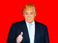 articles/2017/02/08/the-case-for-rosie-o-donnell-as-snl-s-donald-trump/170207-stern-trump-rosie-tease_qjjvhx