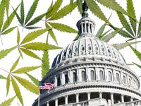articles/2014/11/05/d-c-legalizes-grow-and-give-policy/141105-haglage-weed-tease_ronhr0