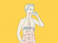 articles/2014/03/27/new-research-shows-poorly-understood-leaky-gut-syndrome-is-real-may-be-the-cause-of-several-diseases/140325-leaky-gut-tease_fxcvsc