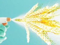 articles/2014/07/16/celiac-or-not-gluten-free-dish-soap-is-ridiculous/140714-GLUTEN_ziilbp