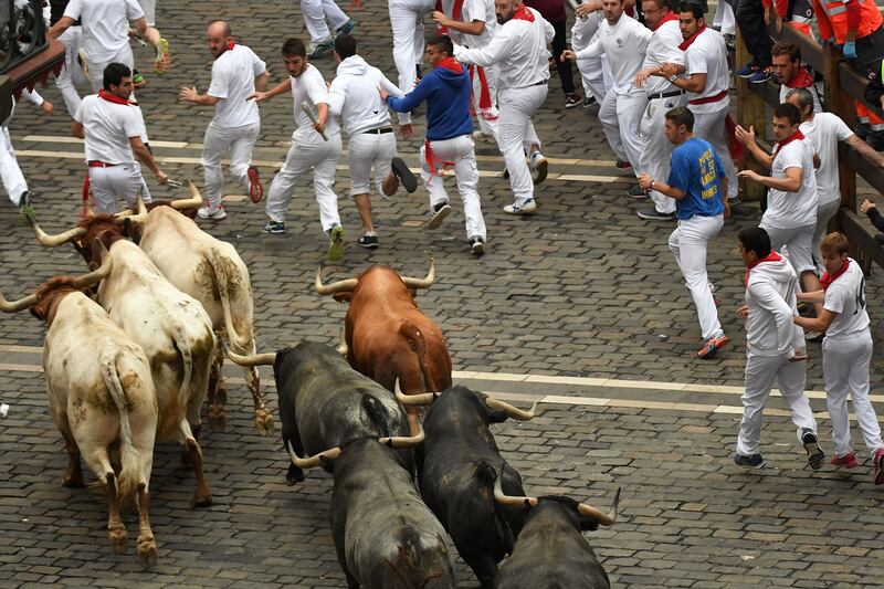 galleries/2016/07/14/running-of-the-bulls-photos/160714-running-bull8_lneawk
