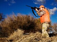 201018-Daly-Hunting-Hypocrisy-Governors-tease_pthqfe