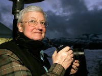 articles/2014/07/06/my-friend-roger-ebert-pulitzer-prize-winner-tom-shales-on-the-moving-documentary-life-itself/140703-shales-robert-ebert-tease_zdlkss