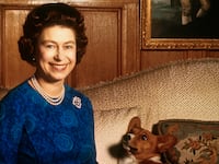 Queen Elizabeth II smiles radiantly during a picture-taking session in the salon at Sandringham House. Her pet dog looks up at her.
