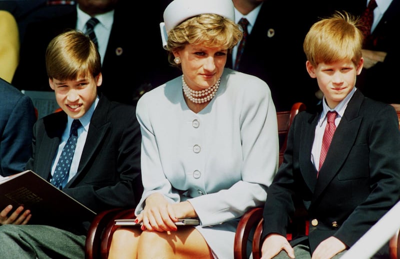 Princess Diana's sons, once so close, are now in a "very sad" contest to assert her legacy.