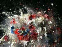 galleries/2012/08/24/ori-gersht-shows-explosive-still-lifes-at-the-museum-of-fine-arts-boston-photos/ori-gersht-tease_pmldvn