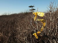 GettyImages-135303595_wk9fbk