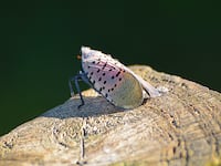 GettyImages-1271397191-2_etxpkl