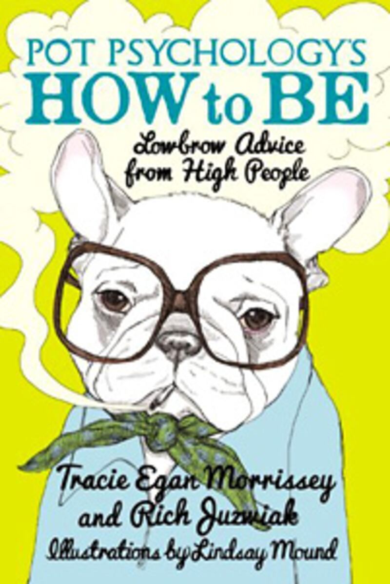 articles/2012/11/11/pot-psychology-the-stoners-guide-to-life/pot-smokers-psychology-book-cover_aldwul