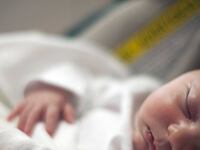 articles/2014/02/07/the-home-birth-rebellion/140206-zadrozny-birth_grqbu2