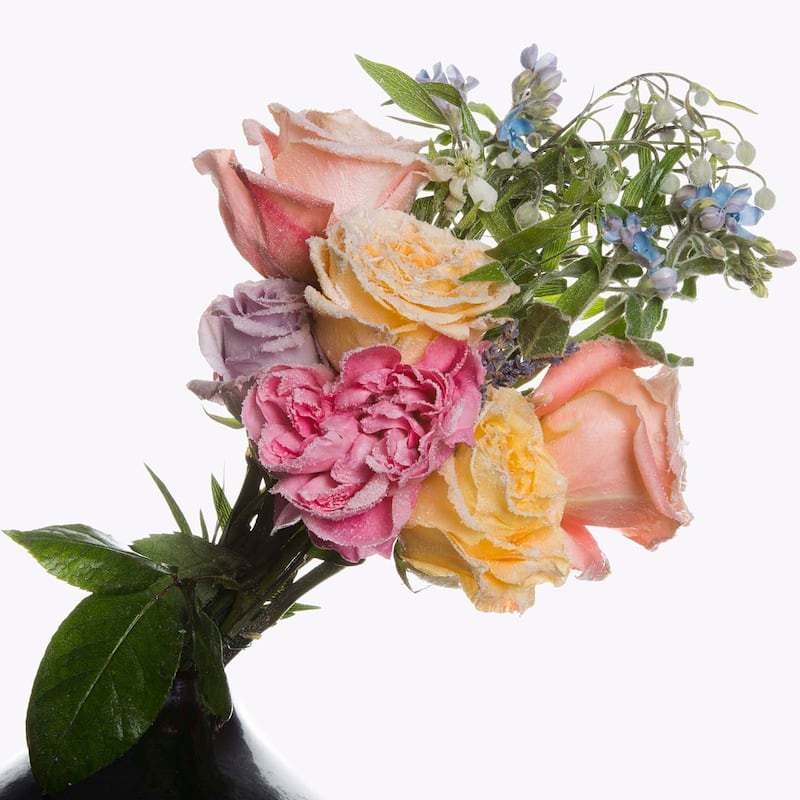 galleries/2013/07/12/iconic-inez-vinoodh/inez-vinoodh-frozen-flowers_seymcd
