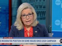 Liz Cheney appears on ABC's This Week.