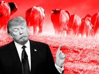 170612-wilson-gop-running-from-trump-tease_q2gv7q