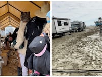 Burning Man conditions