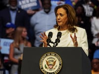 Democratic presidential nominee and US Vice President Kamala Harris speaks during a rally in Savannah, Georgia, on August 29, 2024.