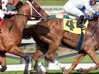 articles/2012/03/16/luck-runs-out-if-horses-die-while-cameras-roll-you-must-quit/luck-horse-racing-watman_hzybaa